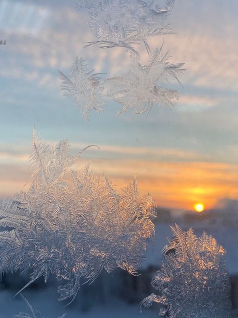 winter Sunrise tattoo #zicxa-photos #zicxa #images #background #wallpaper #freepik #shutterstock #VN Sunrise Tattoo, Harry Styles Photoshoot, The 1989 World Tour, Winter Sunrise, Sunrise Pictures, Snow Flower, Snowy Weather, Snow Photography, Gold Aesthetic