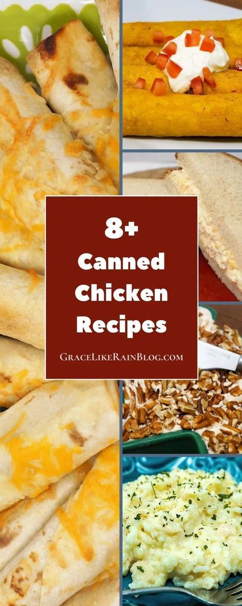 The Canned Chicken Recipe Roundup is showcasing all our favorite recipes using canned chicken breast. Canned Chicken is a great pantry staple to keep on hand. It stays at optimal freshness for years and does not require refrigeration so it's ready when you need to cook dinner. Quick And Easy Dinner Recipes Canned Chicken, Canned Chicken Appetizers, Canned Chicken Breast Recipes, What To Make With Canned Chicken, Recipes Using Canned Chicken, Using Canned Chicken, Canned Chicken Recipes, Chicken Pies, Chicken Gravy Recipe