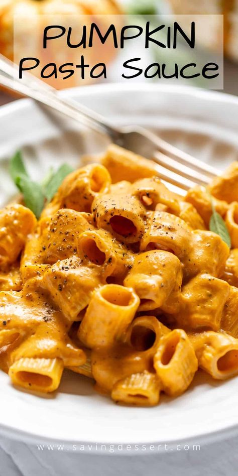 Our Pumpkin Pasta sauce is a cozy, cheesy, creamy bowl of crazy good comfort food! Serve with your favorite pasta as a hearty side dish or a filling main course meal. #pumpkinrecipe #pumpkinsauce #pumpkinpastasauce #cheesypastasauce #sauce #pastasauce Cheesy Pasta Sauce, Creamy Pumpkin Pasta, Pumpkin Pasta Sauce, Special Meals, Seasonal Eating, Autumn Food, Pumpkin Sauce, Pumpkin Pasta, Pasta Sides