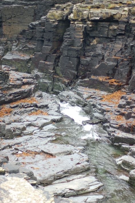 Fantasy Rocky Landscape, Loz Aesthetic, Badlands Aesthetic, Rocky Environment, Terror Bird, Hunger Games Arena, Plains Landscape, Rocky Landscape, Rock Valley