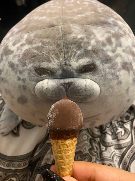 Cute Seals Wallpaper, Seal Pfp Aesthetic, Seal Icon, Seal Plushie Aesthetic, Seal Pfp Silly, Chunky Seal Plush, Seal Plushies, Fat Seal Plush, Funny Seals