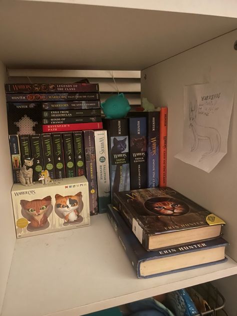 My personal collection! Warrior Cats Aesthetic, Cats Books, Warrior Cats Books, Cats Stuff, Warriors Cats, Cats Aesthetic, Cat Books, Warrior Cat, Cat Aesthetic