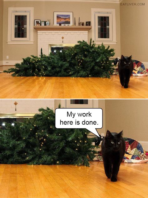 My Work Here Is Done Vs Christmas, Grumpy Cat Christmas, Christmas Tree Funny, Cat Christmas Tree, Miss Kitty, Image Chat, Cat Christmas, Funny Cat Memes, Funny Animal Memes