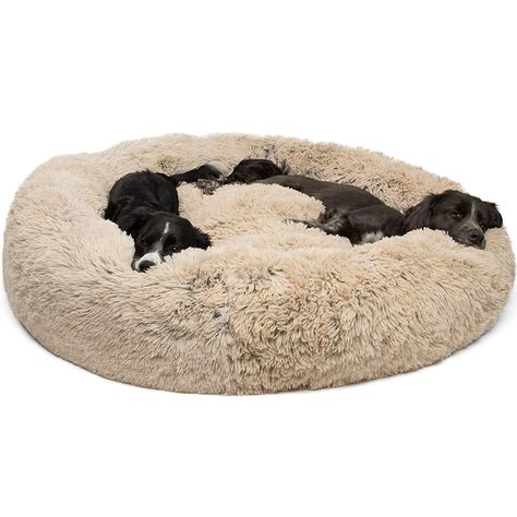 Calm Space, Plush Dog Bed, Donut Cat, Donut Bed, Donut Dog Bed, Dog Odor, Cool Dog Beds, Restorative Sleep, Dog Cushions