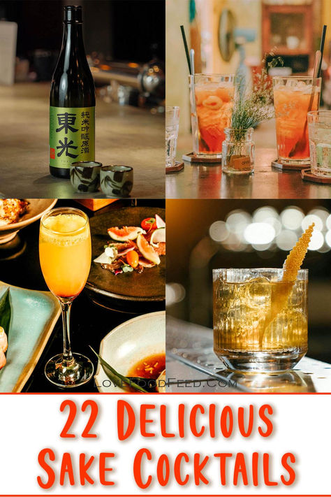 Shake up your cocktail game with 22 delicious sake cocktail recipes. From refreshing spritzers to bold blends, there's a drink for every taste! Sake Mixed Drinks, Sake Cocktail Recipes, Sake Martini, Sake Drinks, Sake Cocktails, Sake Cocktail, Cocktails With Friends, Japanese Party, Cranberry Cocktail