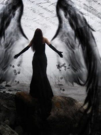 Angel Falls, Gothic Angel, Dark Angels, Black Angel, Ange Demon, Sea Witch, Black Wings, Angel Pictures, Angels And Demons