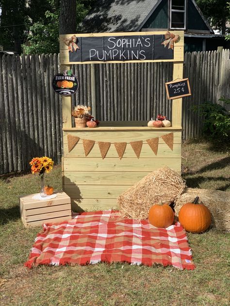 Pumpkin Stand Photoshoot, Pumpkin Stand Mini Session, Pumpkin Stand Ideas, Selling Stand, Fall Photo Booth, School Fall Festival, Fall Photo Props, Fall Pallets, Birthday Pumpkin