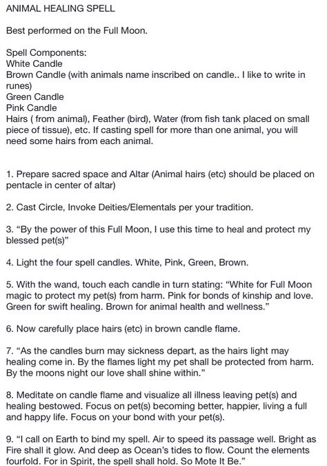 Pet Blessing Spell, Pet Spells, Healing Spell For Pets, Animal Protection Spell, Pet Health Spell, Animal Healing Spell, Pet Healing Spell, Spell To Bring Back Lost Pet, Spell To Heal My Dog