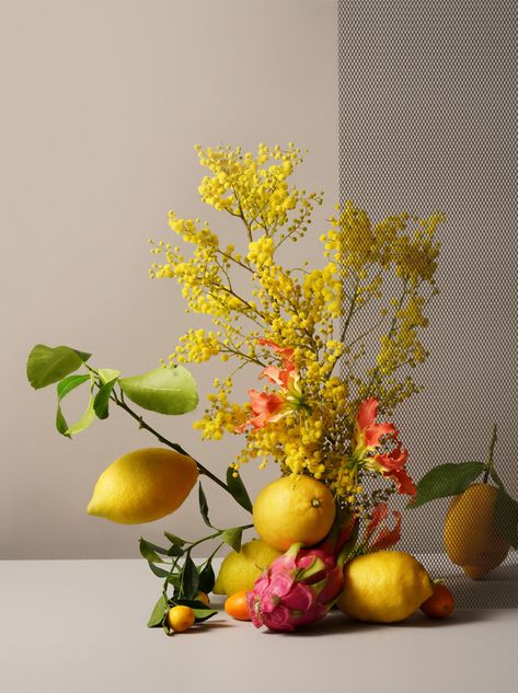 Fruit In Flower Arrangements, Mimosa Flower Photography, Mimosa Flower Arrangement, Still Life Styling, Fruit Floral Arrangements, Lemon Arrangements, Fruit And Flower Arrangements, Fruit Flower Arrangements, February Moodboard