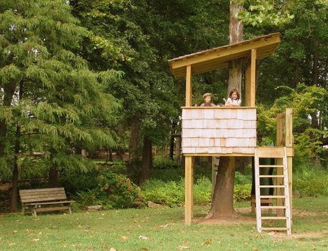 13 Tree Houses Your Kids Will BEG You to Build - Glue Sticks and Gumdrops Backyard Tree House, Fort Plans, Huntsville Botanical Gardens, Simple Tree House, Backyard Fort, Kids Tree, Simple Backyard, Tree House Plans, Backyard Trees