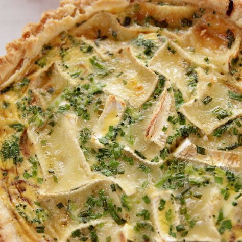 Brie Quiche, Filet Mignon Chorizo, Broccoli Quiche Recipes, Broccoli Quiche, Cheese Quiche, Quiche Recipe, Pioneer Woman Recipes, Savory Tart, Ree Drummond