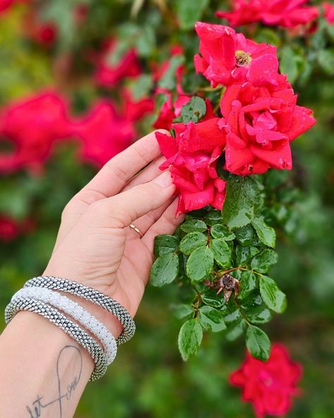 #AD I've been enjoying stacking Sashka Co. bracelets for several years now and I am honored to be a brand ambassador again from my new personal brand 🥰 @mommaproductreviews X @sashka.co.bracelets 💕 They are my long-time favorite bracelets because the little glass beads are woven together with a cotton thread and I can live life without that weird side stress of my jewelry breaking if I snag my wrist on something🫤 This especially came into play when I became a momma and comfortable jewelry b... Personal Brand, Brand Ambassador, Cotton Thread, Personal Branding, My Jewelry, Live Life, Product Reviews, My Jewellery, Glass Beads