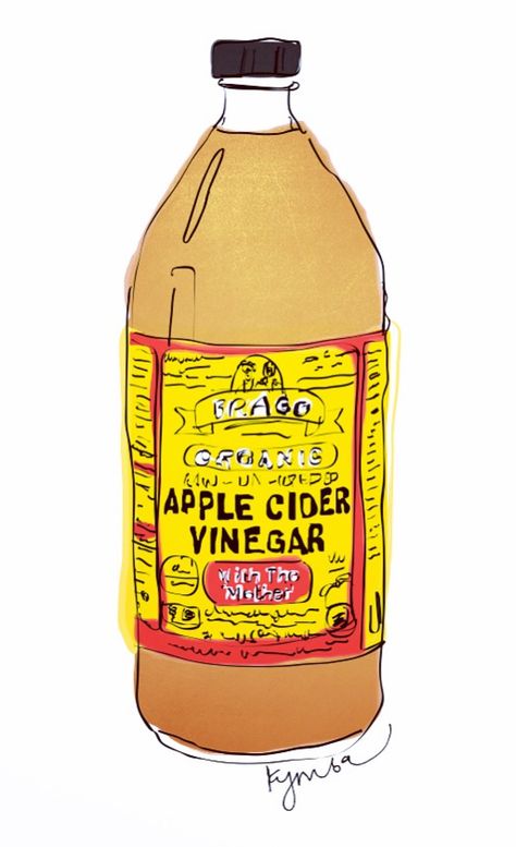 Vinegar Illustration, Vinegar Drawing, Tamarind Illustration, Apple Cidar Vinegar, Tamarind Fruit, Braggs Apple Cider Vinegar, Miss My Dog, Jar Spells, Homemade Cookbook