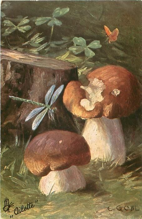 Arte Peculiar, Small Butterfly, Arte Sketchbook, Arte Inspo, Fairytale Art, Mushroom Art, Vintage Poster Art, Ethereal Art, Dragonflies