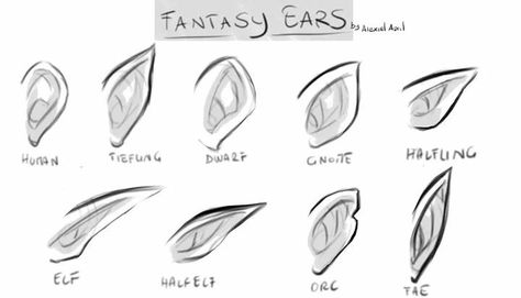 Anime Elf Ears, Elf Ears Drawing, Ears Drawing, How To Draw Ears, Anime Elf, Poses Drawing, Elf Ears, Anime Collection, Easy Drawings Sketches