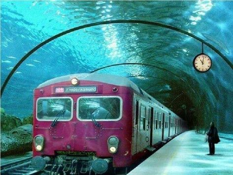 8 Pinterest "Places" That Look Too Good To Be True Underwater Train, Train Tunnel, Viral Images, Train Route, Train Tracks, Train Travel, Venice Italy, Italy Travel, Beautiful Views