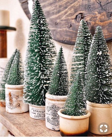 “Trees in Crocks” like socks & crocs, or socks & sandals, or socks &Birkenstock’s! I love trees in old crocks. @balancedchaoskc displays… Bottlebrush Trees, Koti Diy, Farmhouse Christmas Tree, Bottle Brush Trees, Farmhouse Christmas Decor, Noel Christmas, After Christmas, Merry Little Christmas, Christmas 2019