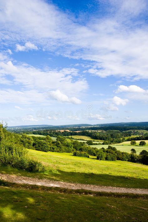 A Room With A View, Surry Hills, Yummy Mummy, Avatar 2, Nature Background, Room With A View, Girl House, Nature Backgrounds, England Uk