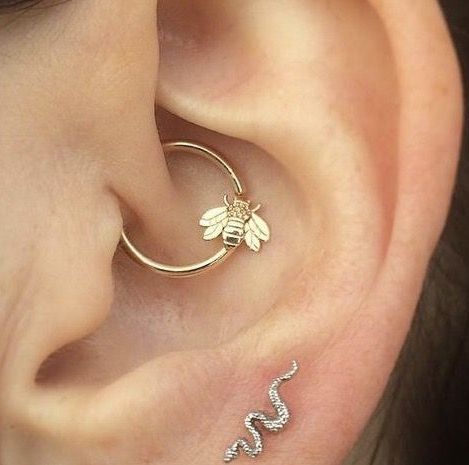 Daith Piercing Jewelry Simple, Daith Jewelry, Ear Piercings Tragus, Tragus Hoop, Daith Piercing Jewelry, Daith Piercing, Jewelry Simple, Snake Earrings, Circle Earrings Studs