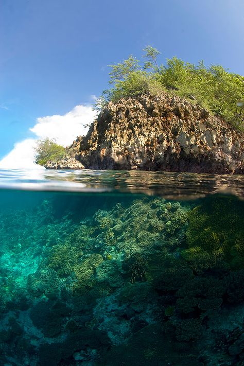 Ocean Bottom Underwater, Half Underwater, Underwater Temple, Underwater Background Landscape, Half Underwater Photography, Half Underwater Photography Ocean, Underwater River Photography, Aesthetic Bg, Zoo Tycoon