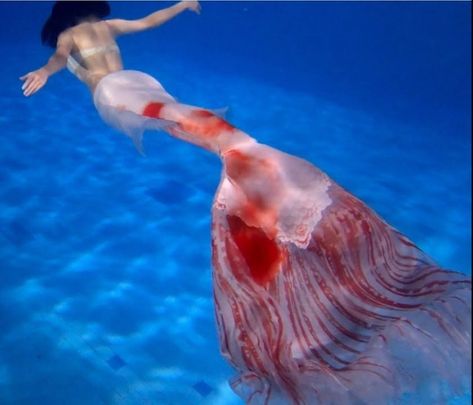 Koi Mermaid Tail, Flowy Mermaid Tail, Aesthetic Mermaid Tail, Orange Mermaid Tail, Mermaid Tail Aesthetic, Red Mermaid Tail, Ruby Aesthetic, Koi Mermaid, Types Of Mermaids