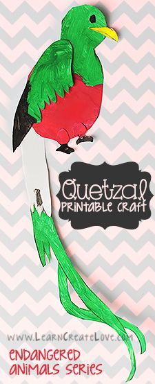 Rainforest Crafts, Teaching Culture, Rainforest Theme, Geography For Kids, Cultural Crafts, Spanish Art, Craft Ideas For Kids, Bird Crafts, Bird Theme