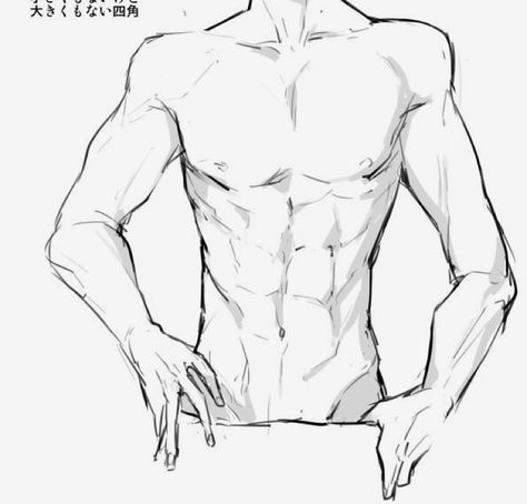 Male Porpotion Drawing, Bottom Male Drawing, 6 Pack Drawing Reference, Body Drawing Male Sketch, How To Draw Male Body Anatomy, Manhwa Body Reference, Muscular Man Art Reference, Male Atonamy Drawing, Man Arms Drawing