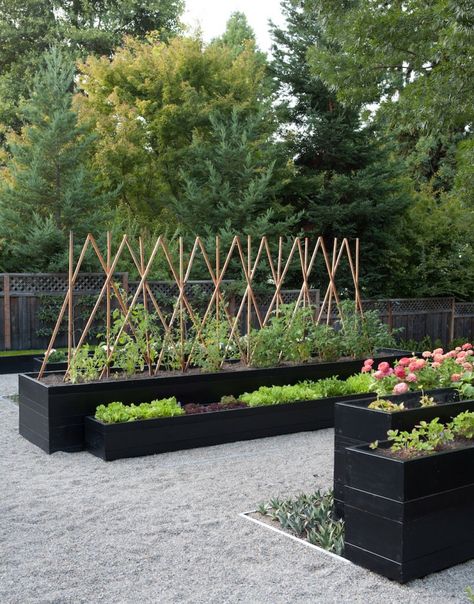 Kriste-Michelini-edible-garden-gardenista-considered-design-awards-1 Homestead Land, Raised Planters, Modern Garden Landscaping, Kitchen Gardens, Potager Garden, Gravel Garden, Modern Garden Design, Veg Garden, Have Inspiration