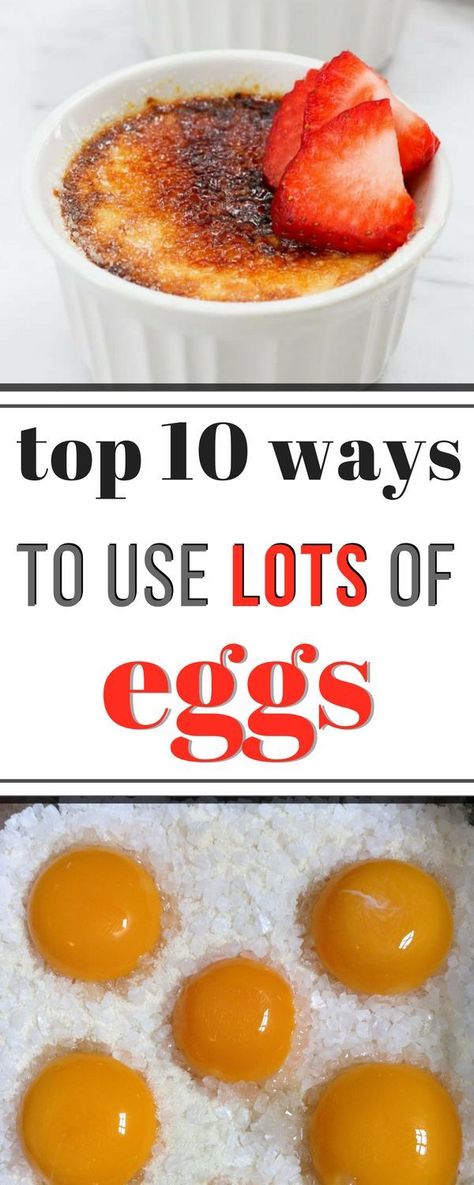 Top 10 Ways to Use Lots of Eggs Lots Of Eggs To Use, Using Up Eggs, Desserts Using Lots Of Eggs, Ways To Use Up Eggs, Recipe Using Lots Of Eggs, Egg Desserts, Freeze Eggs, No Egg Desserts, Eggs Recipes