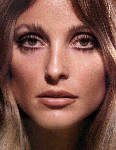 Sharon Tate Makeup Tutorial, 60s Winged Eyeliner, Authentic 60s Makeup, Sharon Tate Eyeliner, 60s Eye Makeup Sharon Tate, Sharon Tate Makeup, Sharon Tate Smile, Winged Eye, Lady Gaga Pictures