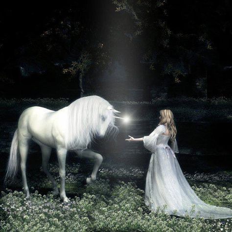 a woman approaching a white unicorn Unicorn And Fairies, Magical Horses, Pegasus Unicorn, Unicorn Pictures, Fantasy Horses, Unicorns And Mermaids, The Last Unicorn, Fairy Dragon, Beautiful Unicorn