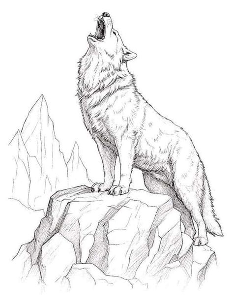 31 Majestic Wolf Coloring Pages For Kids And Adults Wolf Howling Drawing, Wolf Drawing Tattoo, Wolf Art Drawing, Wolf Coloring Pages, Howling Wolf Tattoo, Mountain Sketch, Majestic Wolf, Wolf Sketch, Wolf Painting