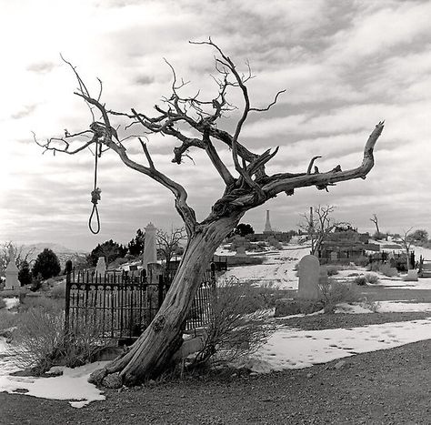 Billie Holiday Family Tree | ... , strange fruit hanging from the poplar trees." ~Billie Holiday Virginia City, Las Vegas City, Hanging Tree, Southern Gothic, History Photos, Haunted Places, Mountain Man, American West, Old West