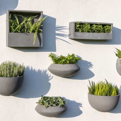 They're almost here! Our Wally Wall-Mounted Fiberstone Planters from Dutch brand Pottery Potts will soon be arriving in 2 new designs: The Balcony Low Wally is a slimline rectangular wall planter and the Jack Wally is a slimline square planter. Transform your space into an endless oasis of greenery. An ideal collection for wall mounting climbing plants or hang in groups to create a green wall. Wally planter pots are made from high-quality fiberstone composite material with a finish that re... Black Balcony, Wall Plant Pot, Green Wall Plants, Wall Planters Outdoor, Fireplace Candle Holder, Green Wall Design, Wall Mounted Planters, Pottery Pots, Pottery Pot