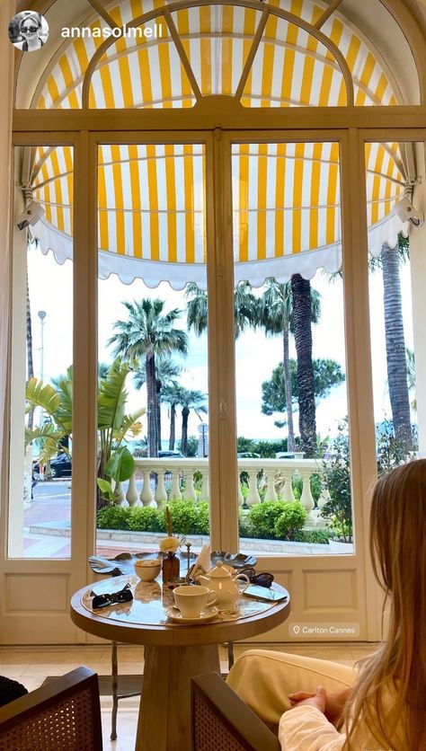 Carlton Cannes French riviera France Canne Aesthetic, French Riviera Fashion, Cannes Aesthetic, French Riviera Aesthetic, Carlton Cannes, Riviera Fashion, Tree Aesthetic, France Aesthetic, Southern France