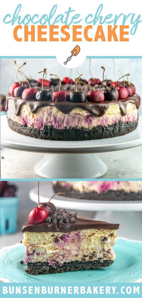 Chocolate Cherry Cheesecake is made with a chocolate cookie crust, chocolate chip cherry cheesecake filling (made with FRESH cherries!), and a chocolate ganache or cherry fudge topping. Don't forget the cherries on top! Chocolate Cherry Cheesecake, Cherry Fudge, Fudge Topping, Cooked Frosting, Cherry Cheesecake Recipe, Yummy Cheesecake, Cherry Filling, Cherry Desserts, Oreo Crust