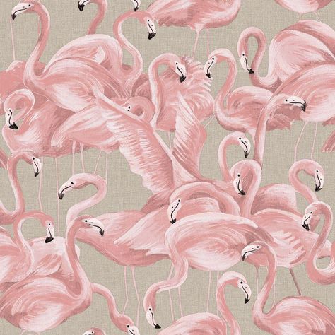 Pink Removable Wallpaper, Flamingo Wallpaper, Ballerina Pink, Matte Paint, Pink Ballerina, Wallpaper Samples, Pink Flamingos, Self Adhesive Wallpaper, Wallpaper Roll