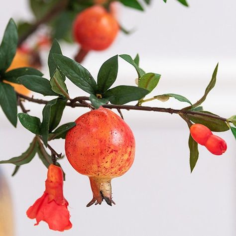 Pomegranate Flower Arrangement, Cranberry Plant, Pomegranate Plant, Pomegranate Branch, Pomegranate Flower, Floral Party Decorations, Vase Plant, Pomegranate Art, Life Drawing Reference