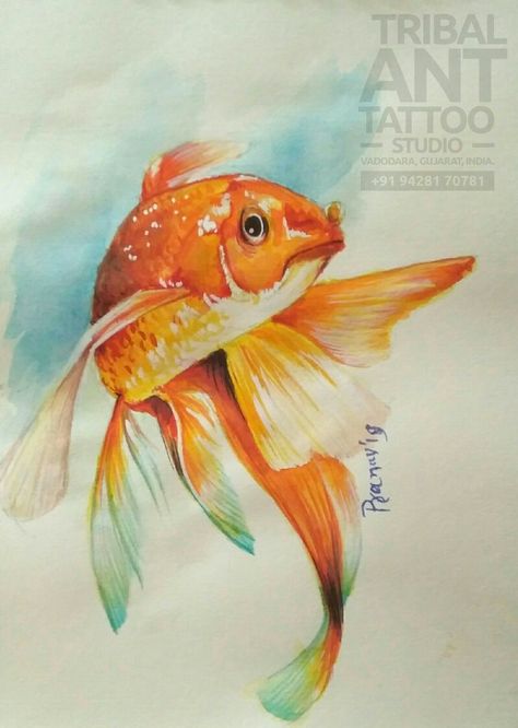 Fishes Watercolor Painting, Goldfish Watercolor Painting, Watercolour Goldfish, Goldfish Sketch, Goldfish Drawing, Goldfish Watercolor, Gold Fish Painting, Fish Goldfish, Goldfish Art