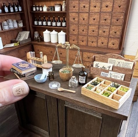 Miniature Apothecary Shop, Miniature Science Lab, Miniature Curiosity Cabinet, Apothecary Dollhouse, Miniature Pharmacy, Dollhouse Apothecary, Miniature Apothecary, Victorian Apothecary, Mini Apothecary