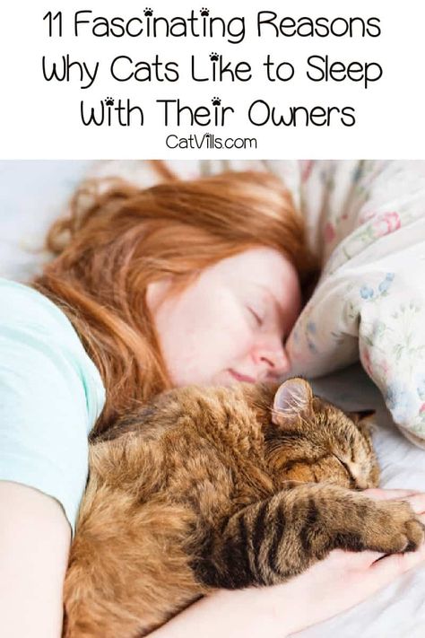 Why Do Cats Like to Sleep With Their Owners? 11 Fascinating Reasons Sleep With Me, Cat Sleep, Cat Ownership, Cat Info, Cat Care Tips, Kitten Pictures, Cat Parenting, Cat Behavior, Cat Facts