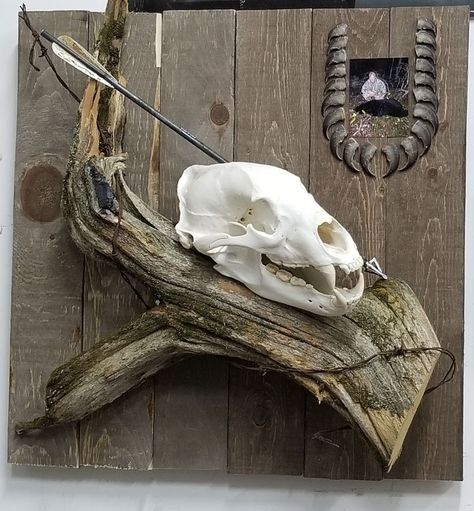 Trophy of Bear hunt, mount has Skull, claws, and arrow. Bear Skull Mount, Skull Mount Ideas, Hunting Mounts, Skull Display, Black Bear Hunting, Duck Mounts, Deer Skull Decor, Deer Mount Ideas, Deer Hunting Decor