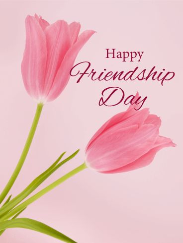 Tulip Happy Friendship Day Card: What is the best way to communicate your love and adoration to the people you love most? With a beautiful bouquet of flowers! The gorgeous pink tulips on this Happy Friendship Day card are the perfect way to say thank you and I love you to your best friends. No one deserves this card more than they do, so send it to them today! Friendship Day 2023, Happy Friendship Day Card, Happy Friendship Day Photos, Friendship Day Photos, Friendship Day Wallpaper, Friendship Day Cards, Happy Friends Day, Friendship Day Greetings, Happy Friendship Day Images