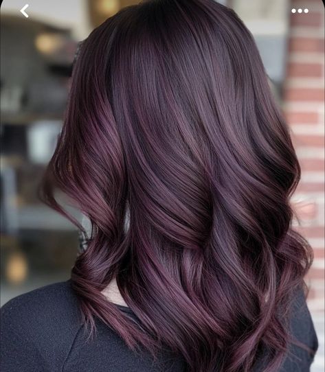 Plum Purple Brown Hair, Dark Brown Hair With Violet Highlights, Purple Plum Hair Color, Dark Brown Violet Hair, Plum Hair With Highlights, Dark Purple Hair With Brown, Purple Brown Hair Color, Dark Plum Brown Hair, Eggplant Colored Hair