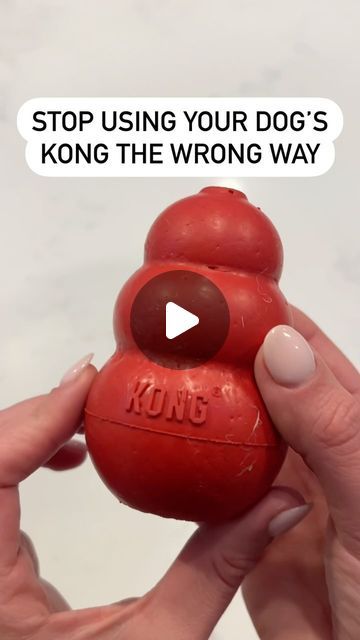 Dog Kong, Kong Fillers, Kong Filling Ideas, Diy Dog Enrichment, Enrichment For Dogs, Dog Enrichment Ideas, Kong Dog Toys, Golden Puppy, Easy Dog Treats