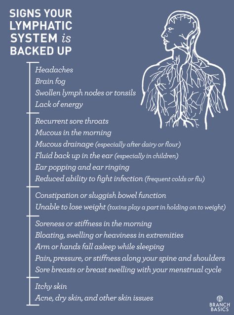 Branch Basics | Signs Your Lymphatic System is Backed Up and how to flush it Branch Basics, Lymph System, Lymph Drainage, Lymph Nodes, Liver Detox, Missing Link, Detox Cleanse, Detox Smoothie, Health Info