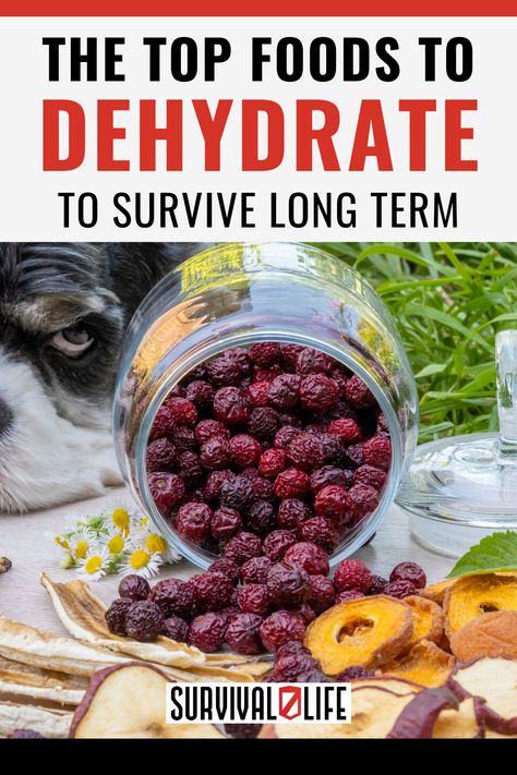 Whether you’re a prepper or just a practical person, it pays to know the best foods to dehydrate. Dehydrated foods last longer and having these in your arsenal is a wise move. It’s best to be always prepared especially in our current economy. #fooddehydration #dehydrate #survivalfood #survival #survivallife Foods To Dehydrate, Dehydrator Recipes Fruit, Best Food Dehydrator, Dehydrating Food Storage, Survival Food Storage, Food Dehydration, Dehydrated Foods, Home Canning Recipes, Dehydrated Vegetables