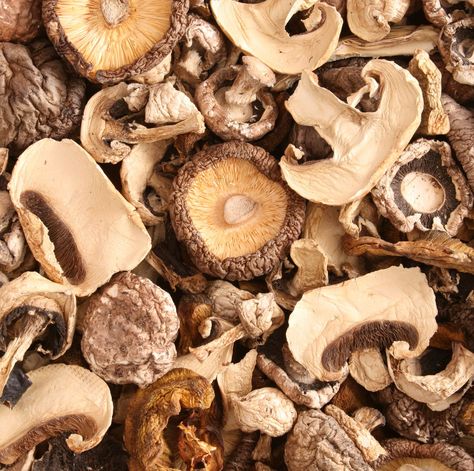 A dietitian weighs in. Dehydrate Mushrooms, Mushroom Varieties, Mushroom Benefits, Food Pack, Dried Mushrooms, Healthy Benefits, Portobello Mushroom, Fool Proof Recipes, Rich In Protein