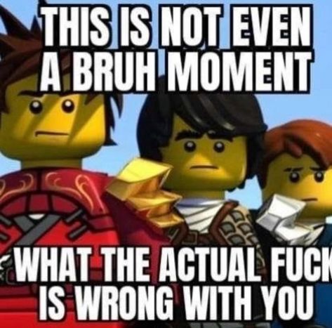 Cat Demon, Image Meme, Bruh Moment, Ninjago Memes, Mean Cat, Red Letters, Funny Times, Silly Images, Very Funny Pictures