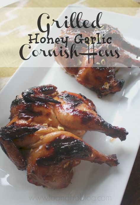 Honey Garlic Marinade, Smoked Cornish Hens, Grilled Cornish Hens, Cooking Cornish Hens, Game Hen Recipes, Christmas Drinking Games, Cornish Game Hen Recipes, Cornish Hen Recipe, Cornish Hen